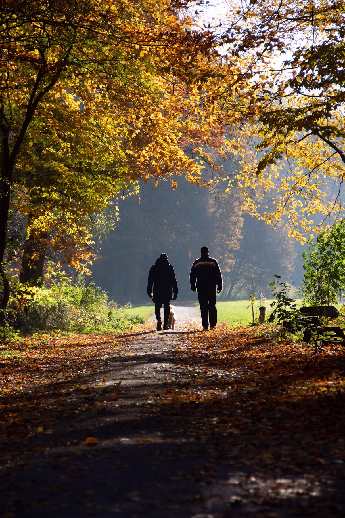 Two people walking along a tree-lined path covered with autumn leaves in a peaceful park during fall.
